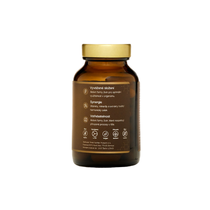 Quantum B-Complex