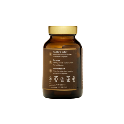 Quantum B-Complex - pravá strana