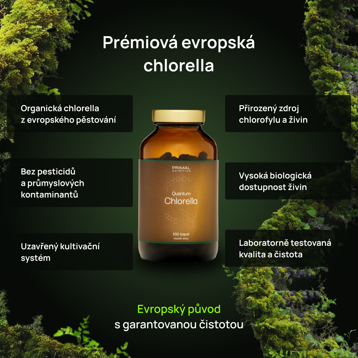 Quantum Chlorella Benefity
