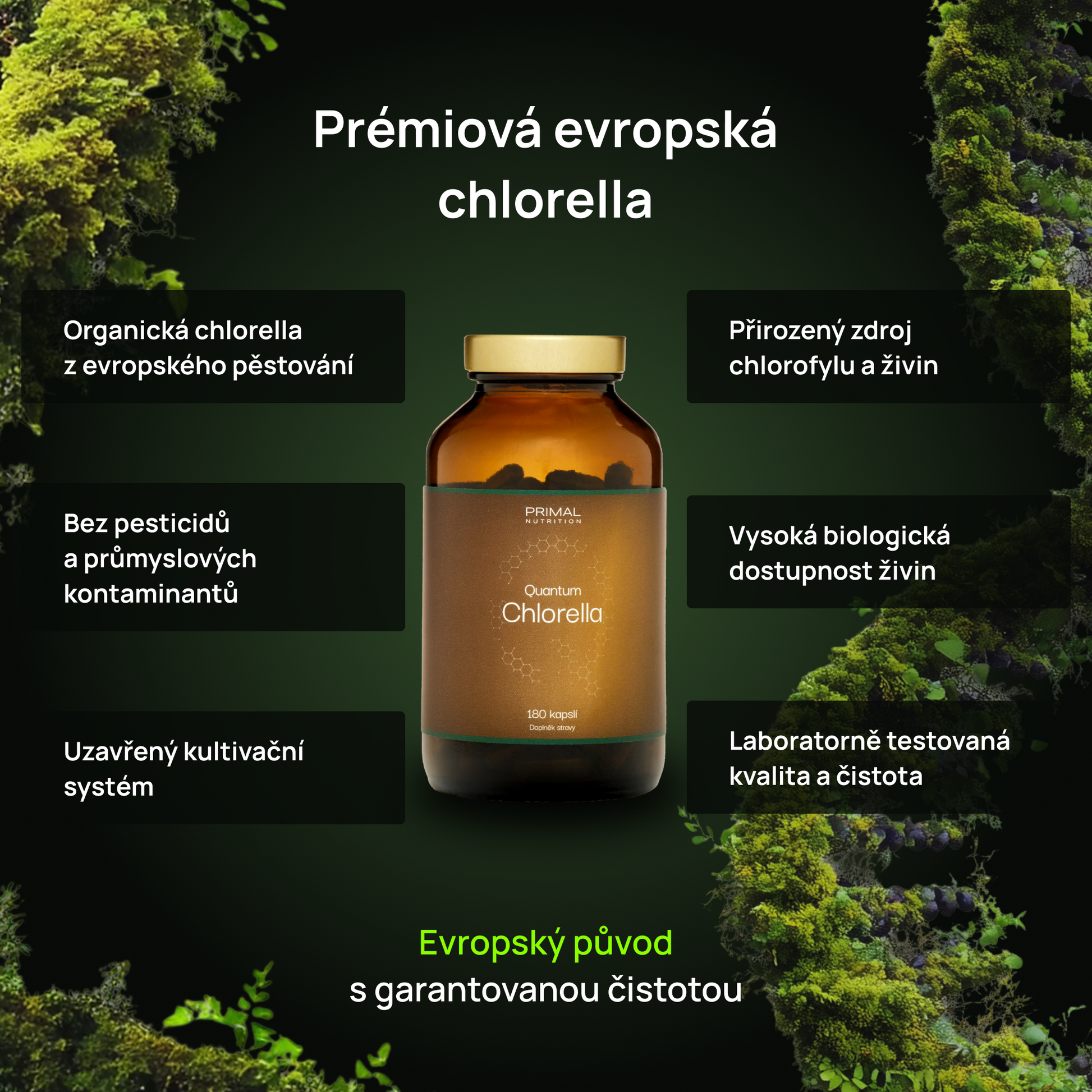 Quantum Chlorella Benefity