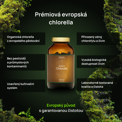 Quantum Chlorella Benefity